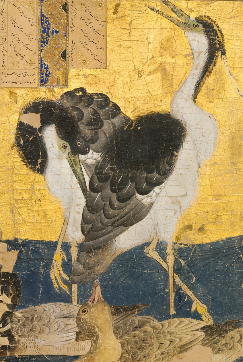 Dos garzas con patos de Unbekannt Unbekannt
