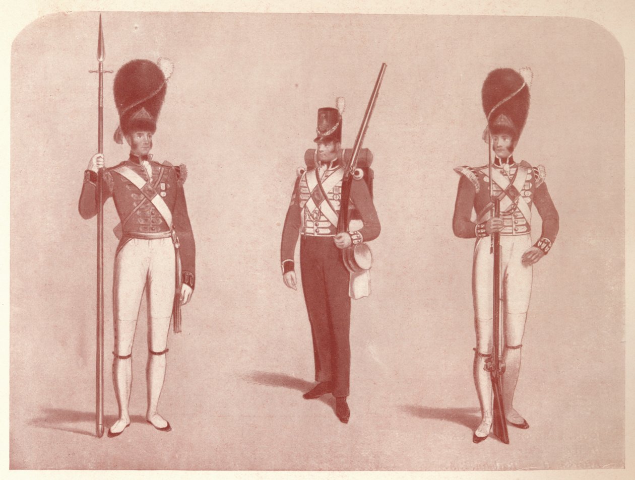 1er o Regimiento de Granaderos de la Guardia en 1815, 1909 de Unbekannt