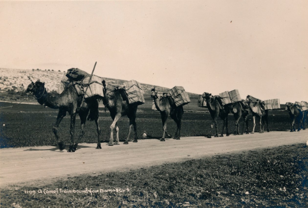 Un tren de camellos rumbo a Damasco, 1936 de Unbekannt