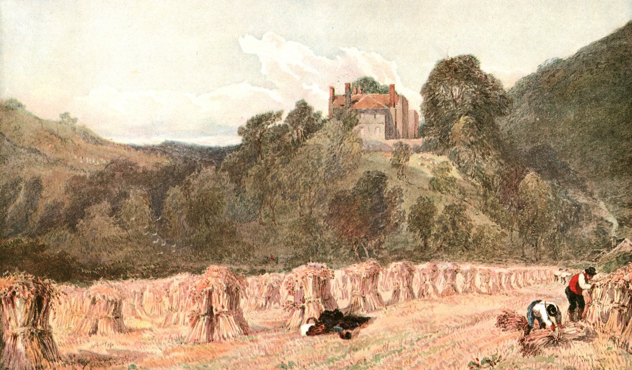 Un campo de maíz, c. 1840s, c. 1900 de Unbekannt
