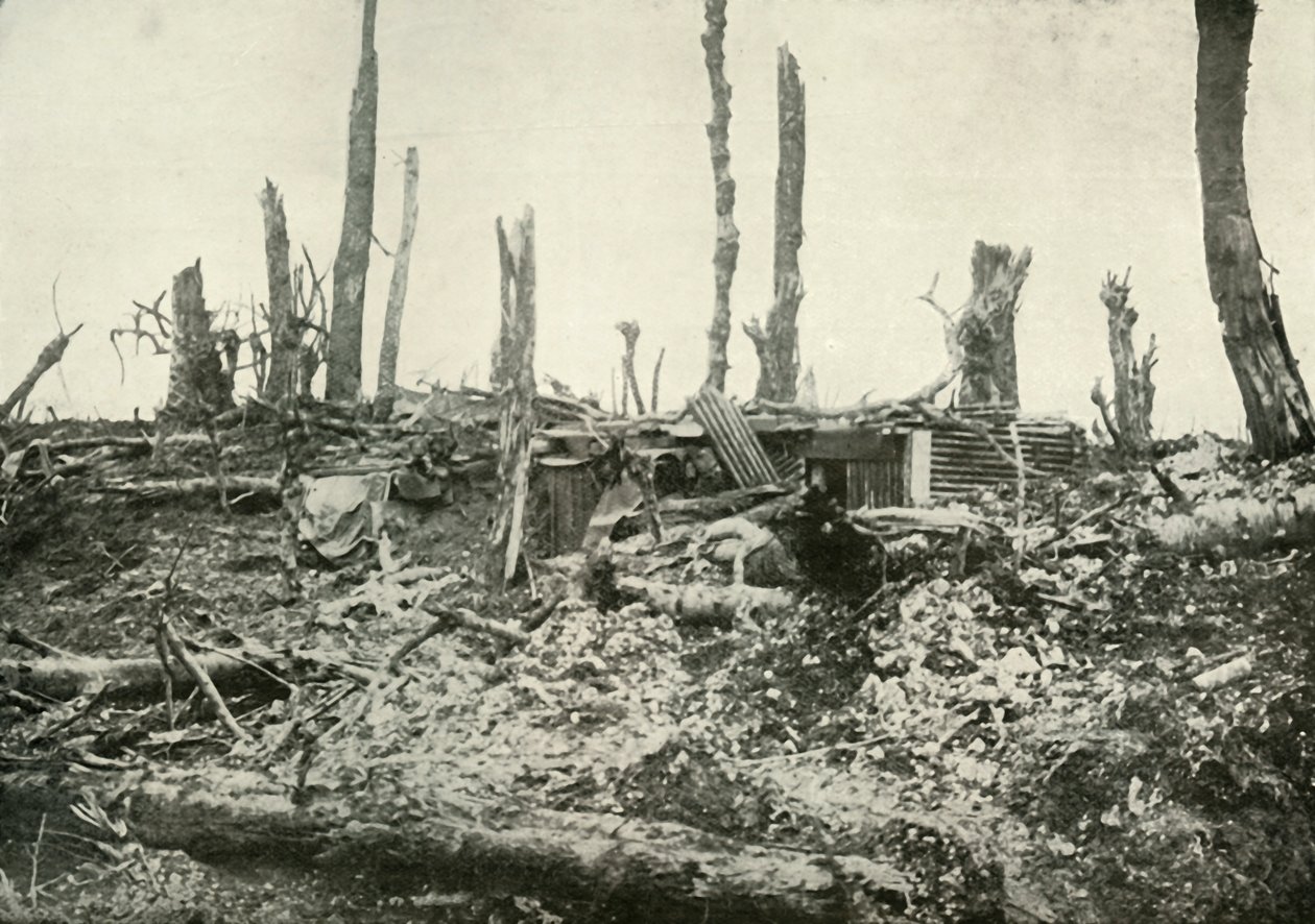 Un refugio en lo que una vez fue un bosque silvano, 1919 de Unbekannt