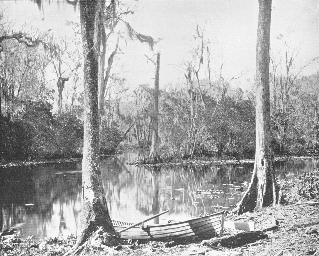 Un afluente del río St. Johns, Florida, EE.UU., c. 1900 de Unbekannt