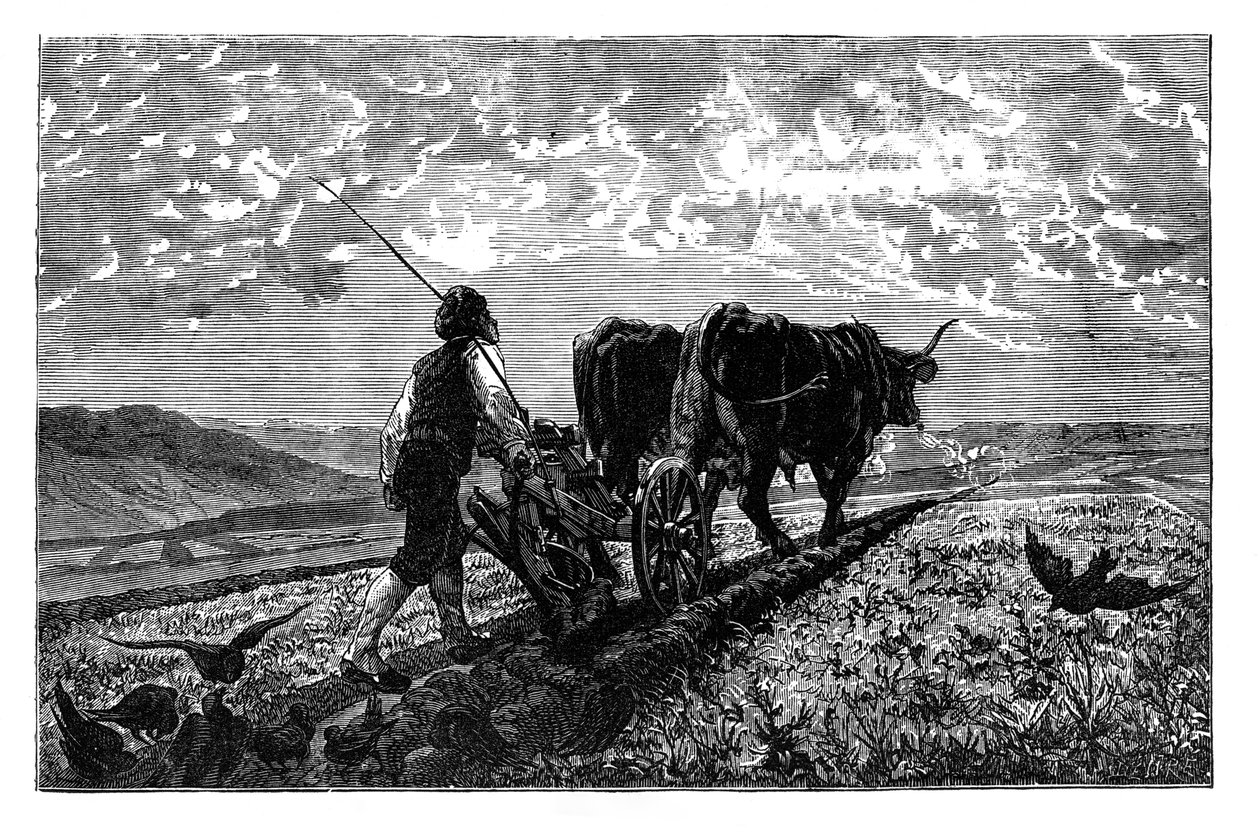 Un agricultor francés, c. 1890 de Unbekannt
