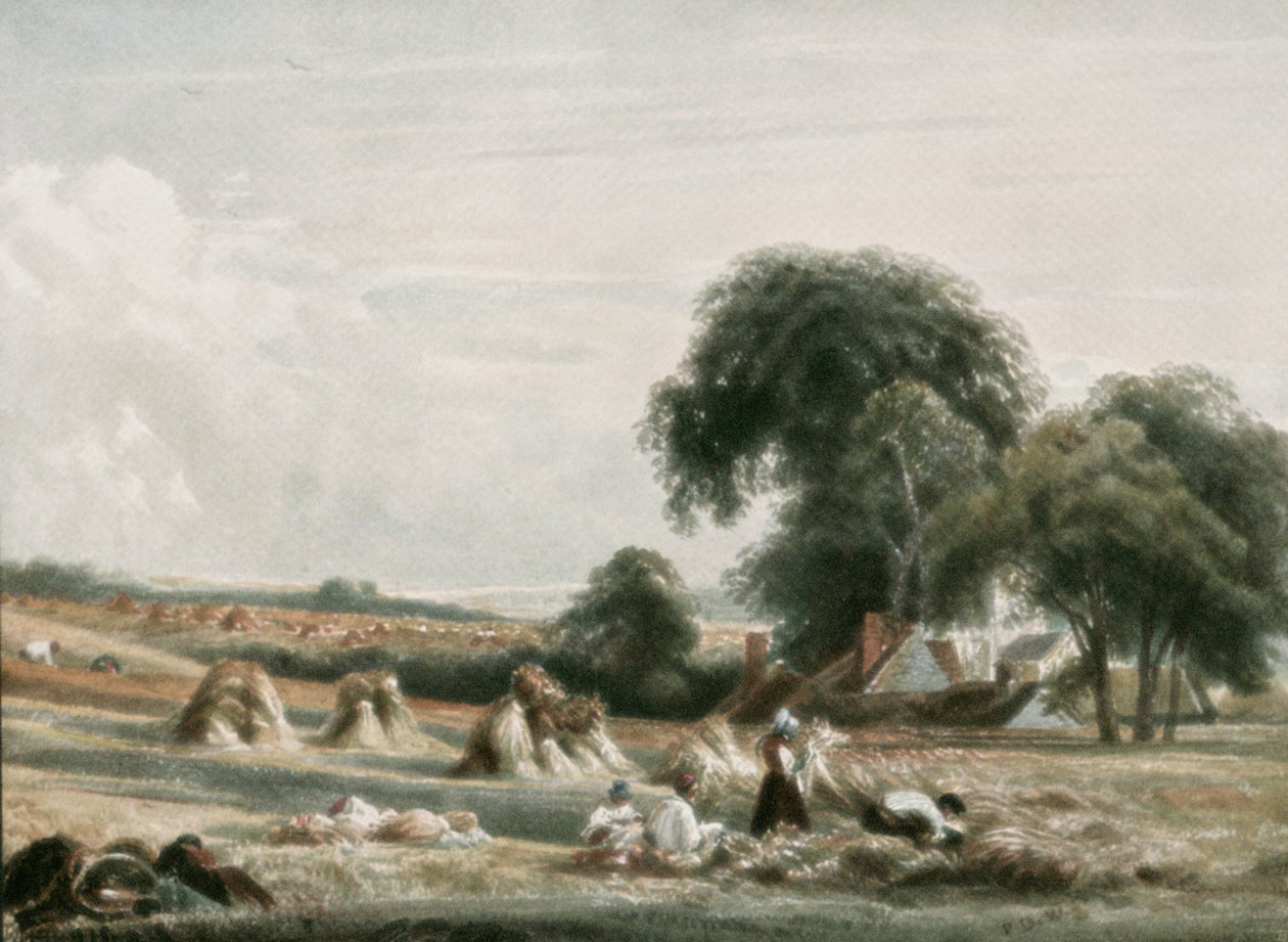 Una escena de cosecha, c. 1900 de Unbekannt