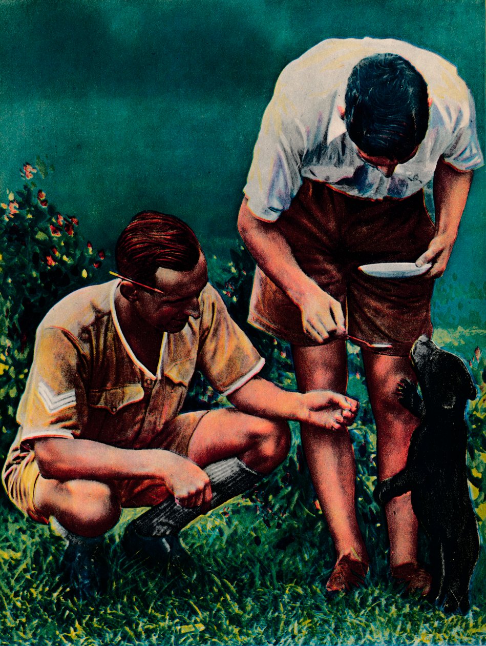 Una mascota de Singapur de la RAF, 1940 de Unbekannt