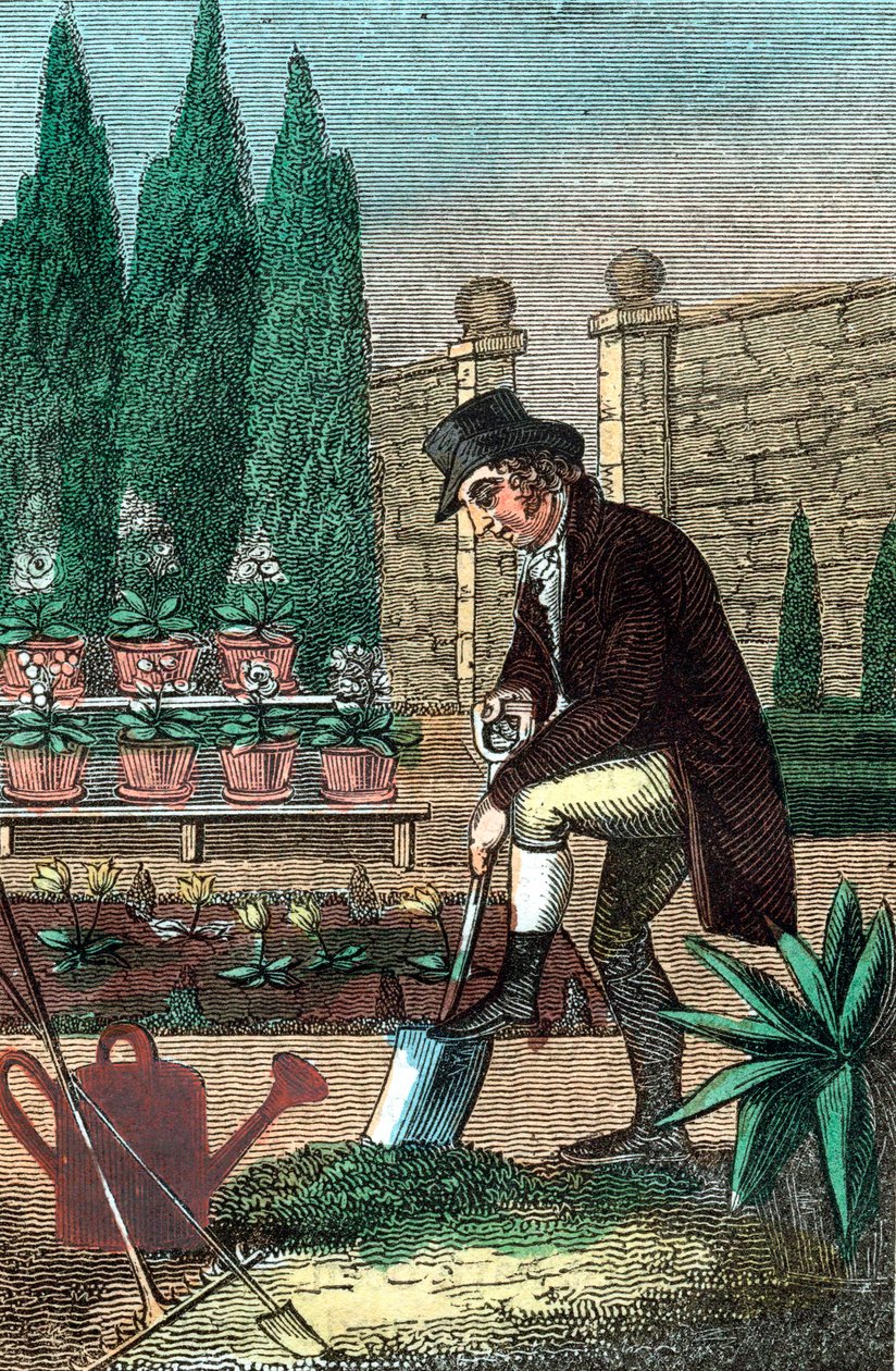 Un jardinero cavando con una pala, 1821 de Unbekannt