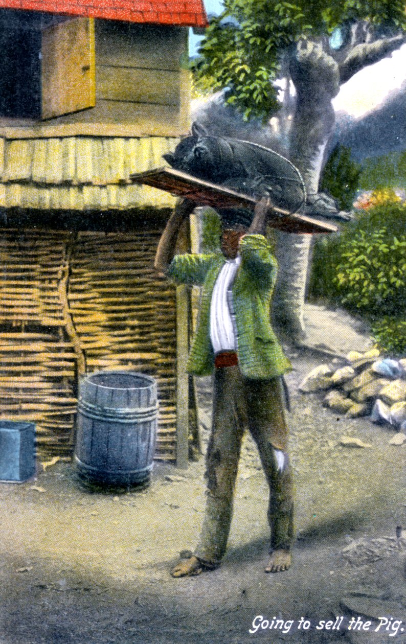 Un hombre camino al mercado para vender un cerdo, Jamaica, c. 1900s de Unbekannt