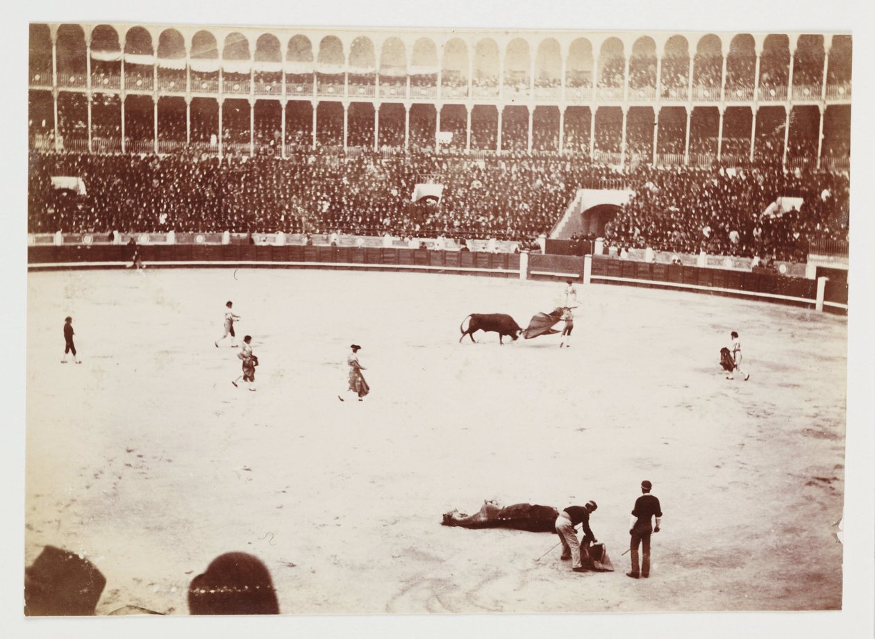 Fotografía de una corrida de toros frente a una gran multitud en la plaza de toros Las Ventas del Espíritu Santo, Madrid, tomada por un fotógrafo desconocido alrededor de 1930 de Unbekannt