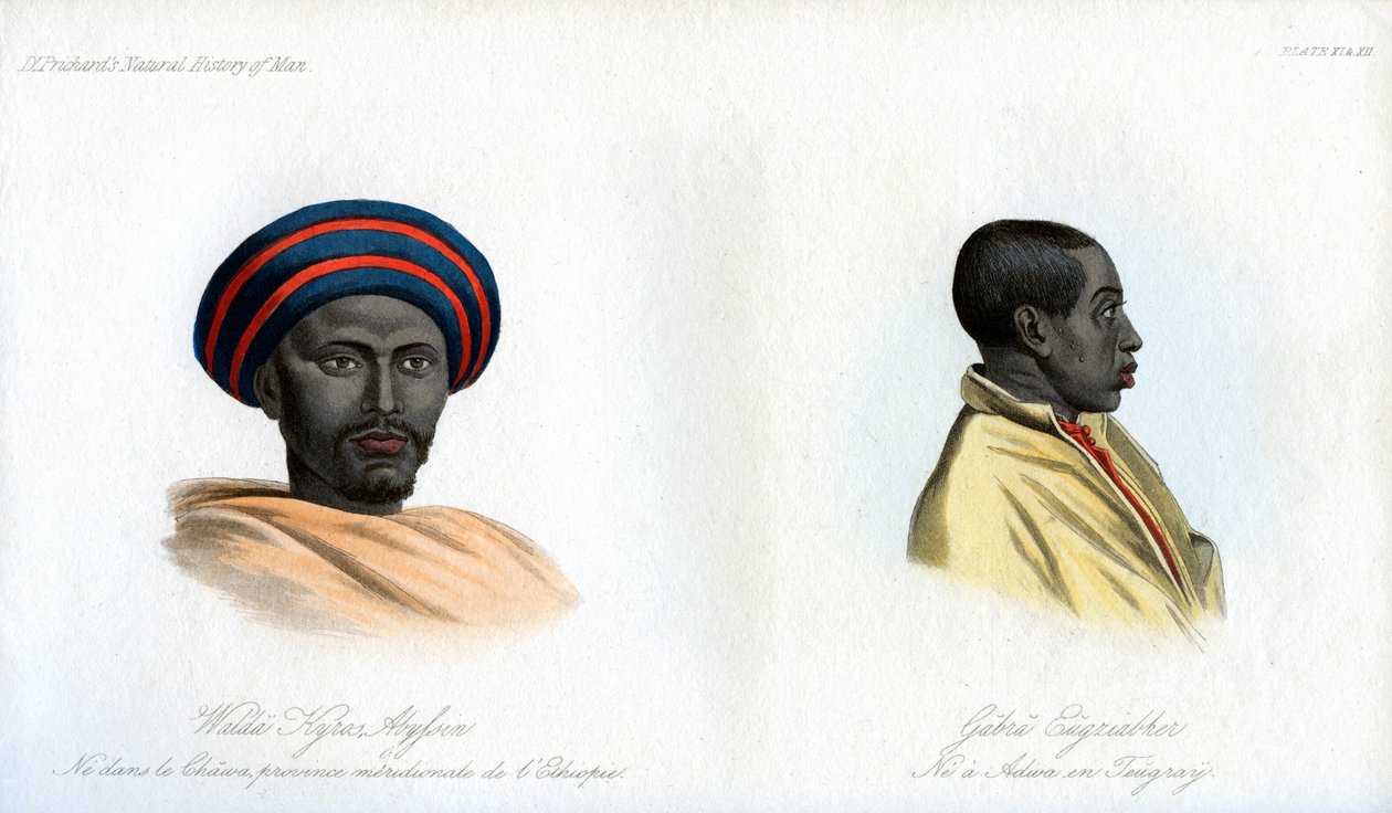 Retratos abisinios, 1848 de Unbekannt
