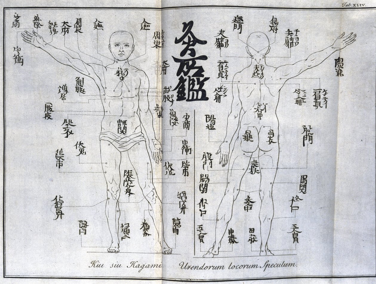 Acupuntura: carta del cuerpo humano indicando los puntos de moxibustión, Japón (Carta relacionada con la moxa, c 1690) de Unbekannt