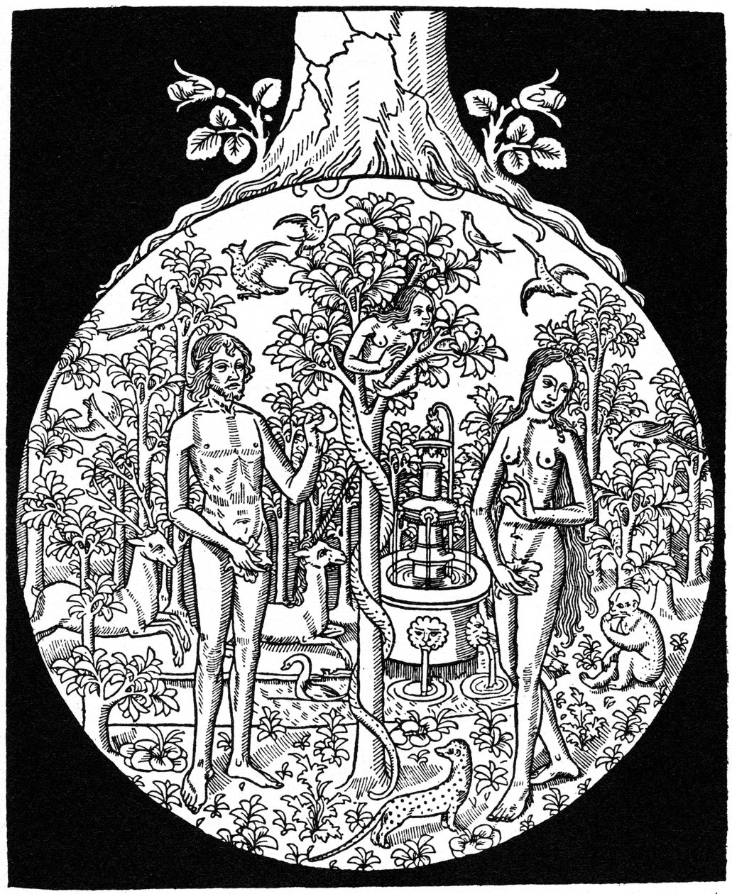 Adán y Eva, 1505, 1964 de Unbekannt