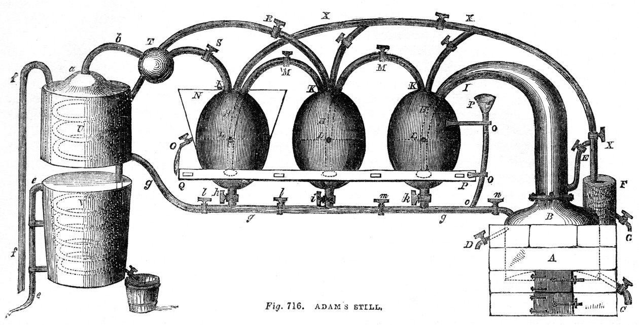 Adams quieto, 1886 de Unbekannt