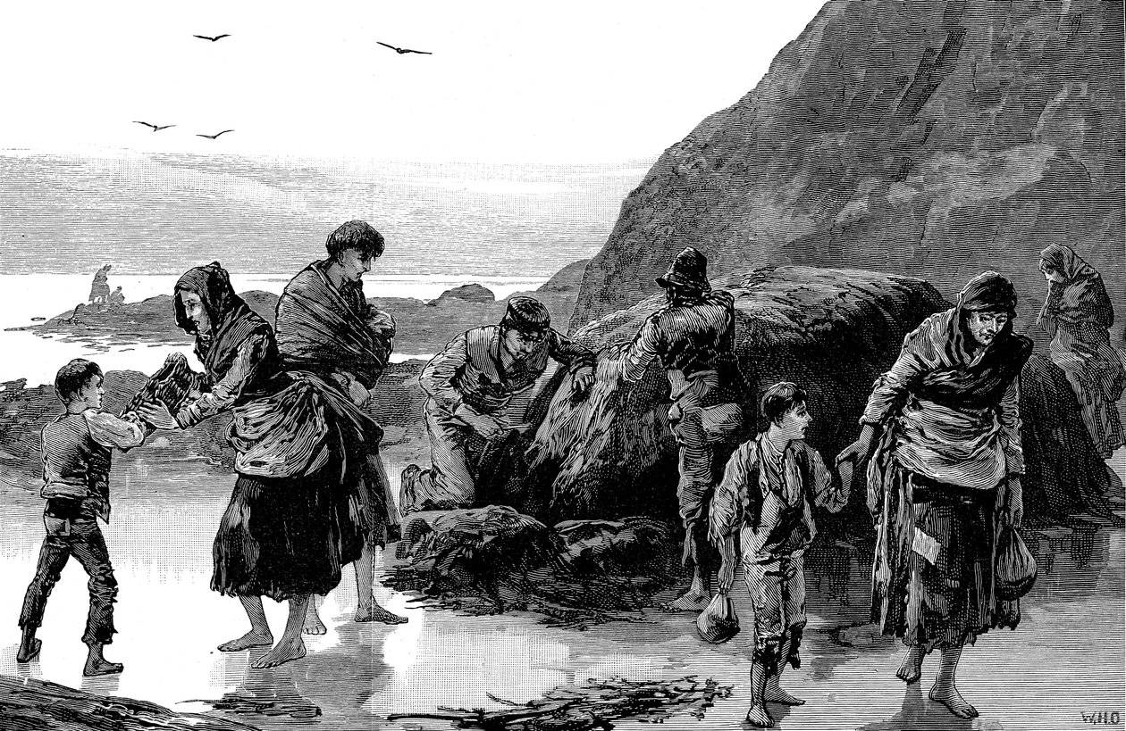 Secuelas de la hambruna, Irlanda 1840s, 1886 de Unbekannt