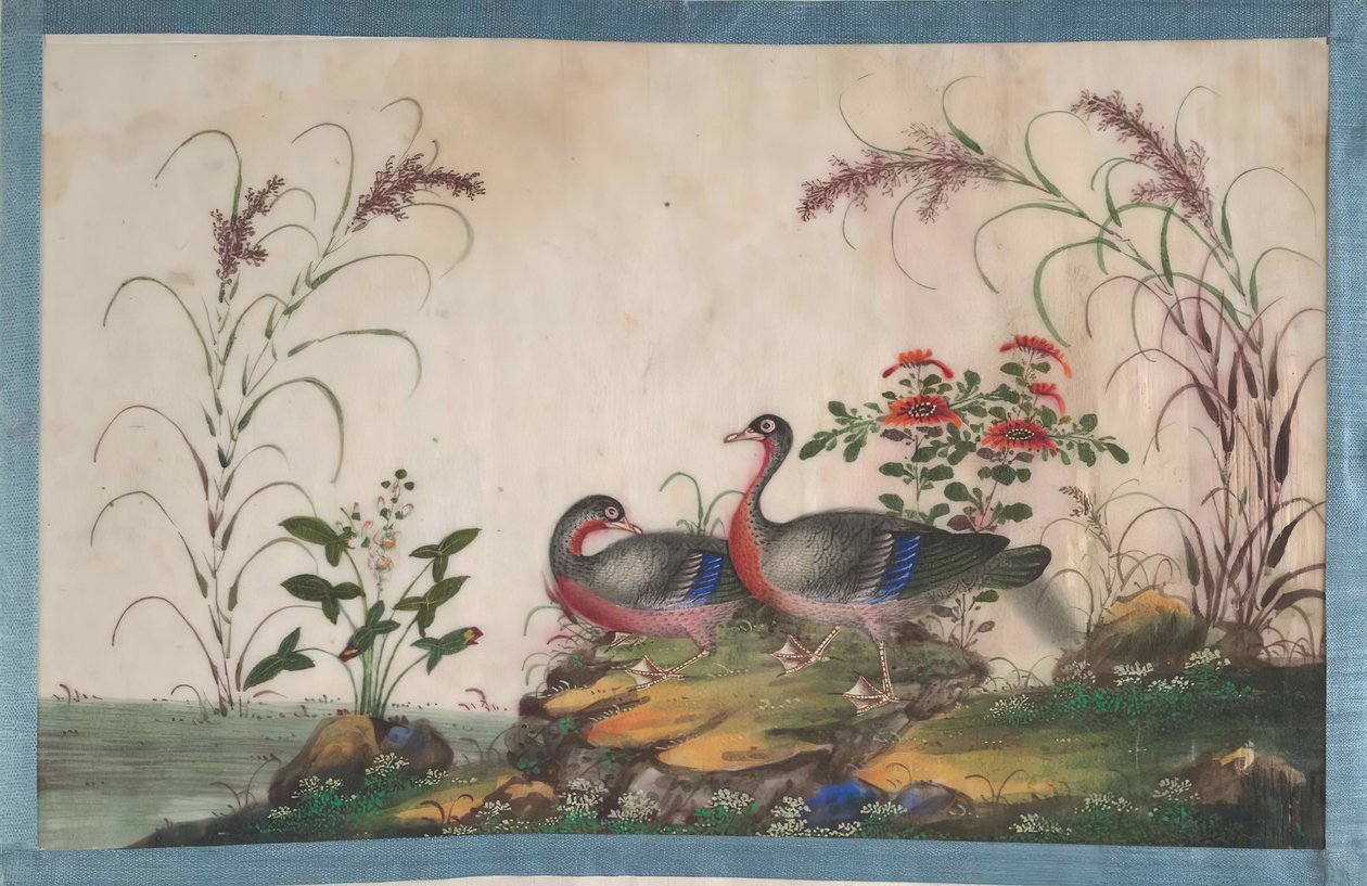 Álbum que contiene doce pinturas de aves, siglo XIX de Unbekannt