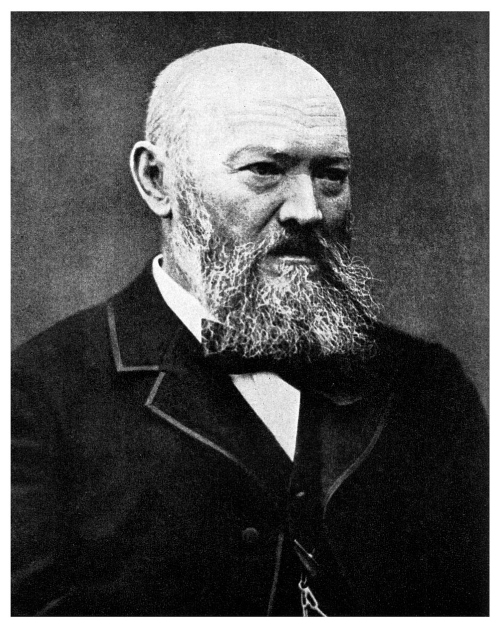 Alexander Ostrovsky, dramaturgo ruso, siglo XIX de Unbekannt