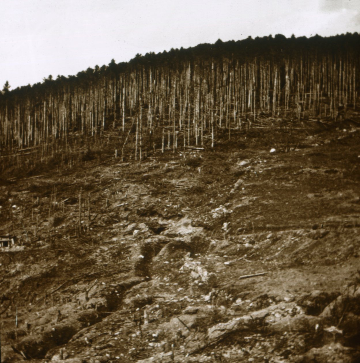Alsacia, c1914-c1918 de Unbekannt