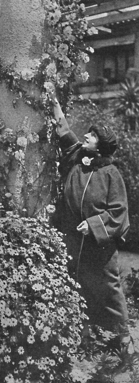 Amelita Galli-Curci - La gran diva recogiendo rosas, sus flores favoritas de Unbekannt