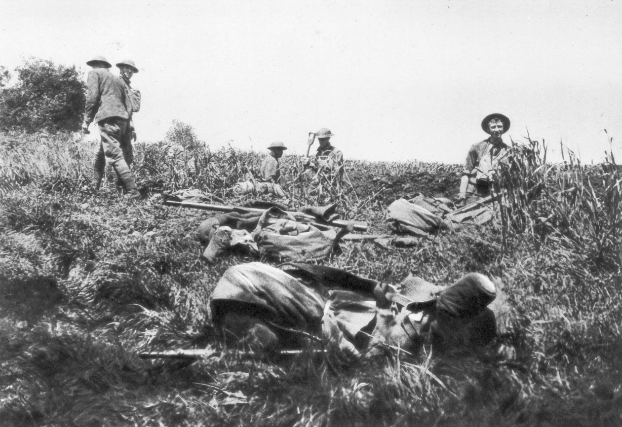 Marines estadounidenses cavando trincheras, Lucy-le-Bocage, Francia, 1 de junio de 1918 de Unbekannt