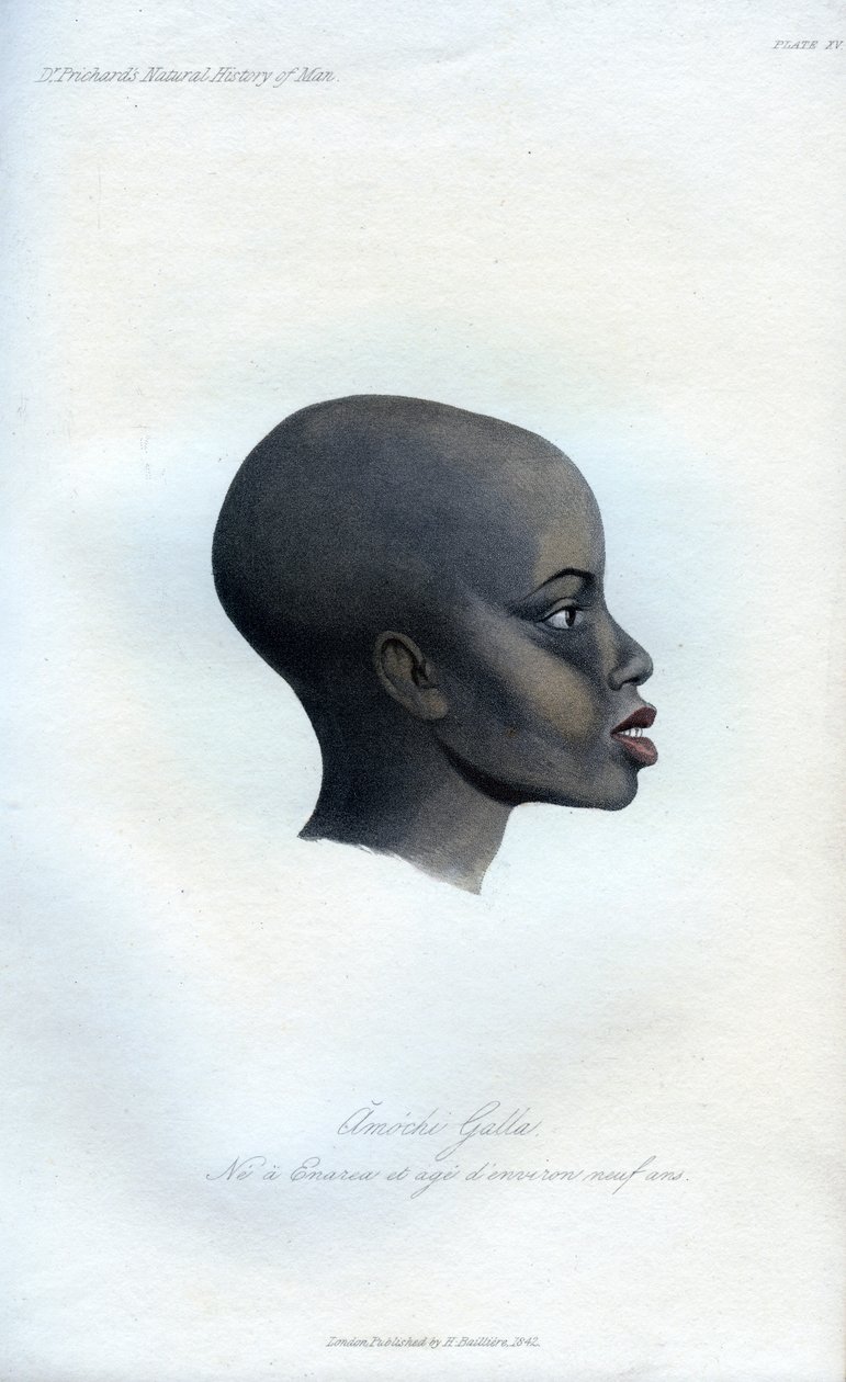 Amochi Galla, un retrato de un Galla, 1848 de Unbekannt