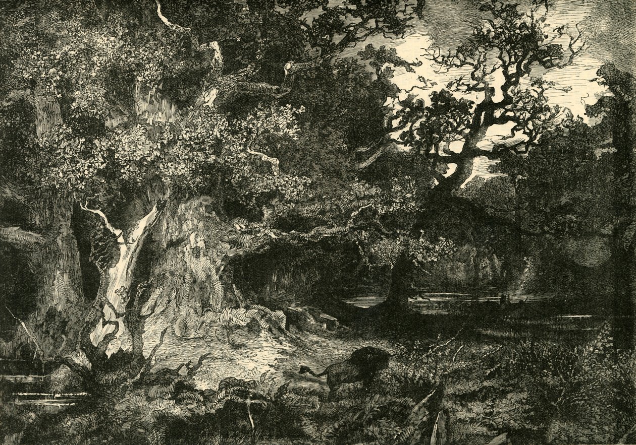 Un viejo bosque alemán, 1890 de Unbekannt