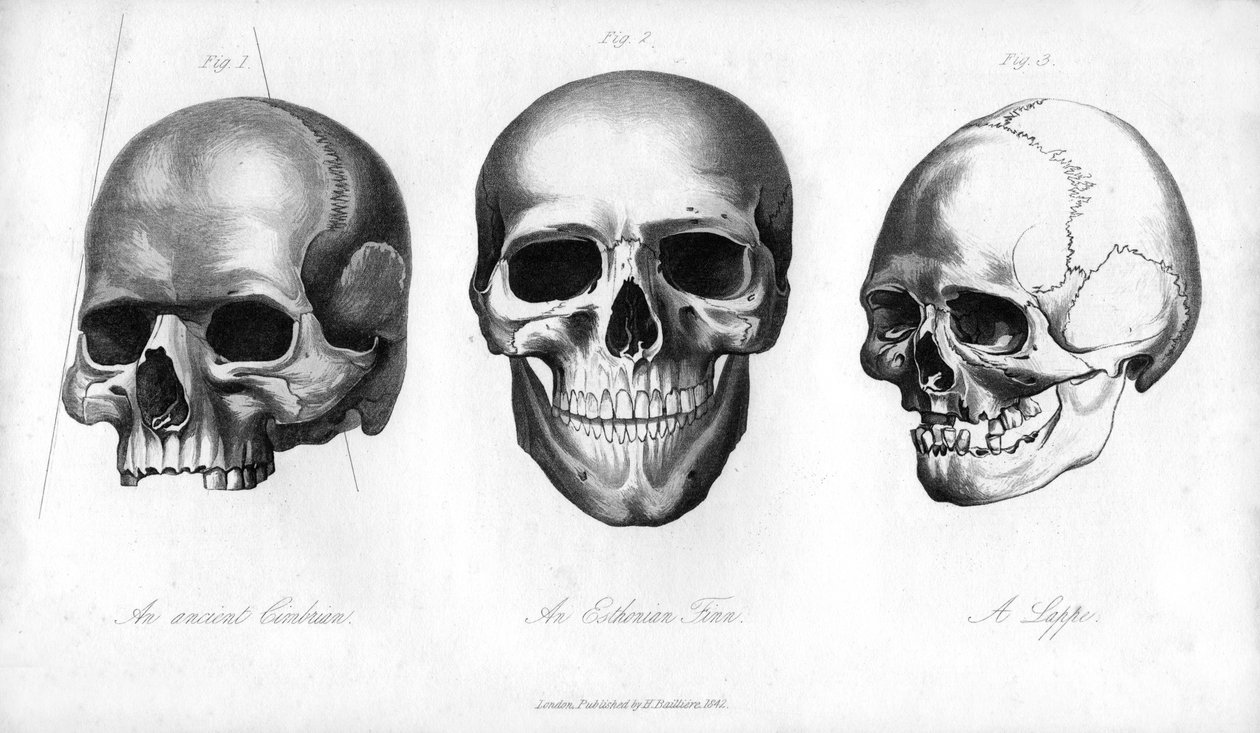 Antiguo Cimbriano, Estonio Finn, Lappe, 1848 de Unbekannt