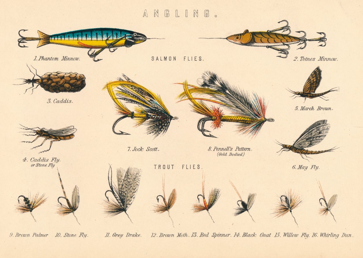 Pesca, siglo XX de Unbekannt