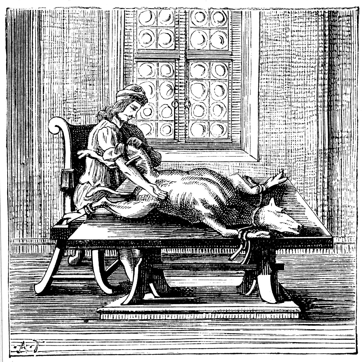 Transfusión de sangre de animal a humano, 1679 de Unbekannt