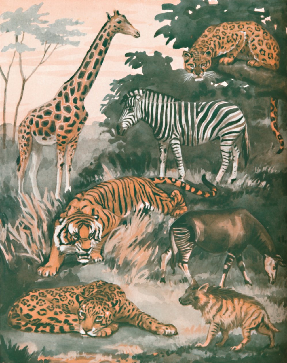 Animales ayudados por manchas y rayas, 1935 de Unbekannt