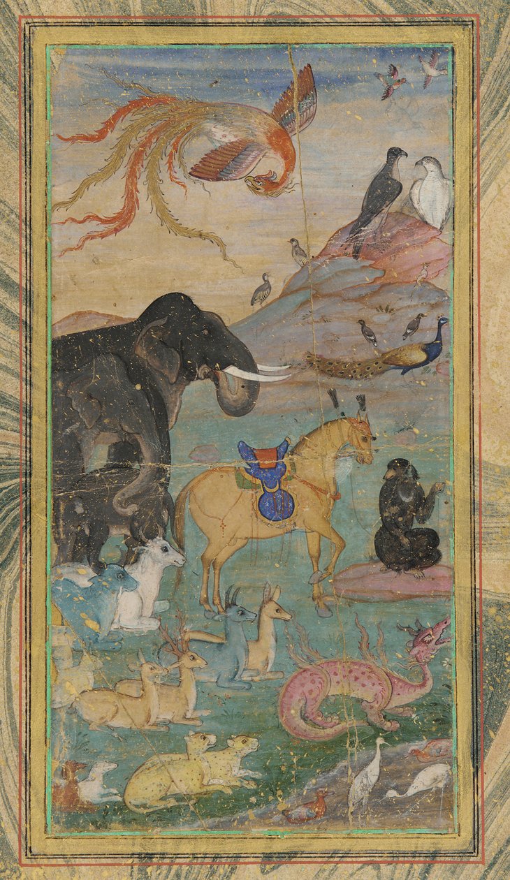 Animales y aves, siglo XVII de Unbekannt