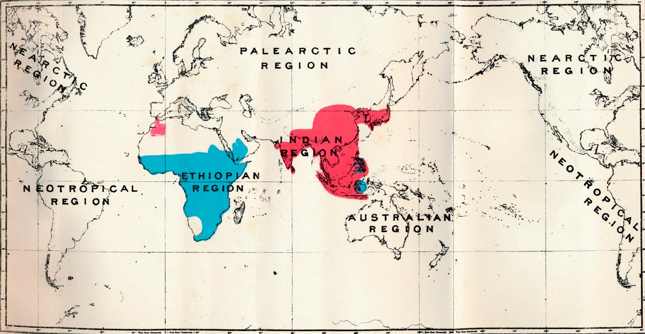 Antropoidea - VI. Mapa de distribución de varias especies Azul y Macaco Rojo, 1897 de Unbekannt