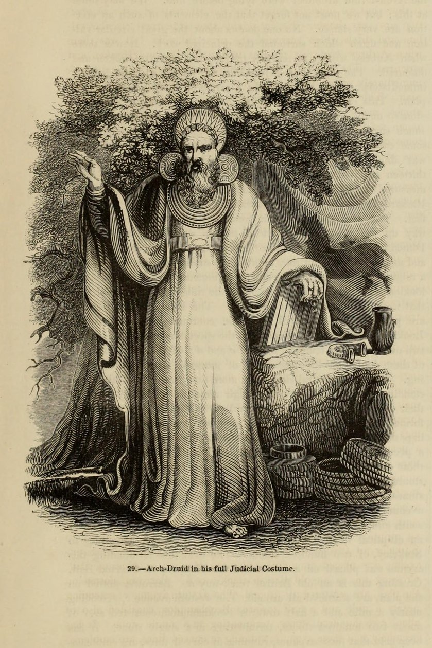 Archidruida en su traje judicial completo Del libro Old England: A Pictorial Museum, 1845 de Unbekannt