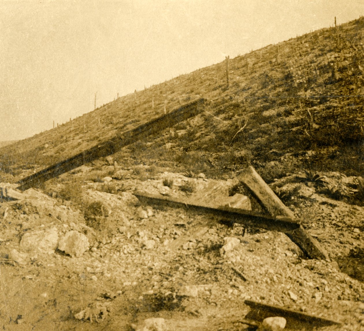 Área alrededor del fuerte en Douaumont, norte de Francia de Unbekannt