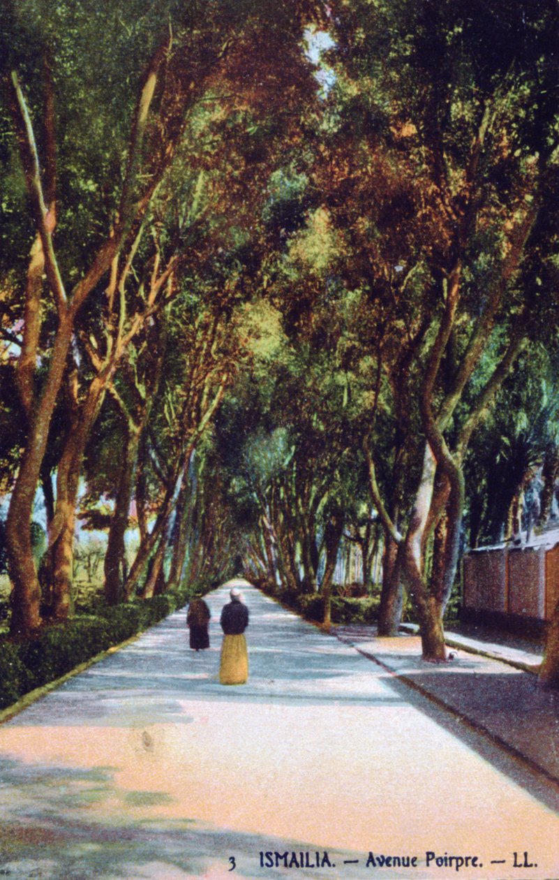 Avenida Poirpre, Ismailia, Egipto, c1900 de Unbekannt
