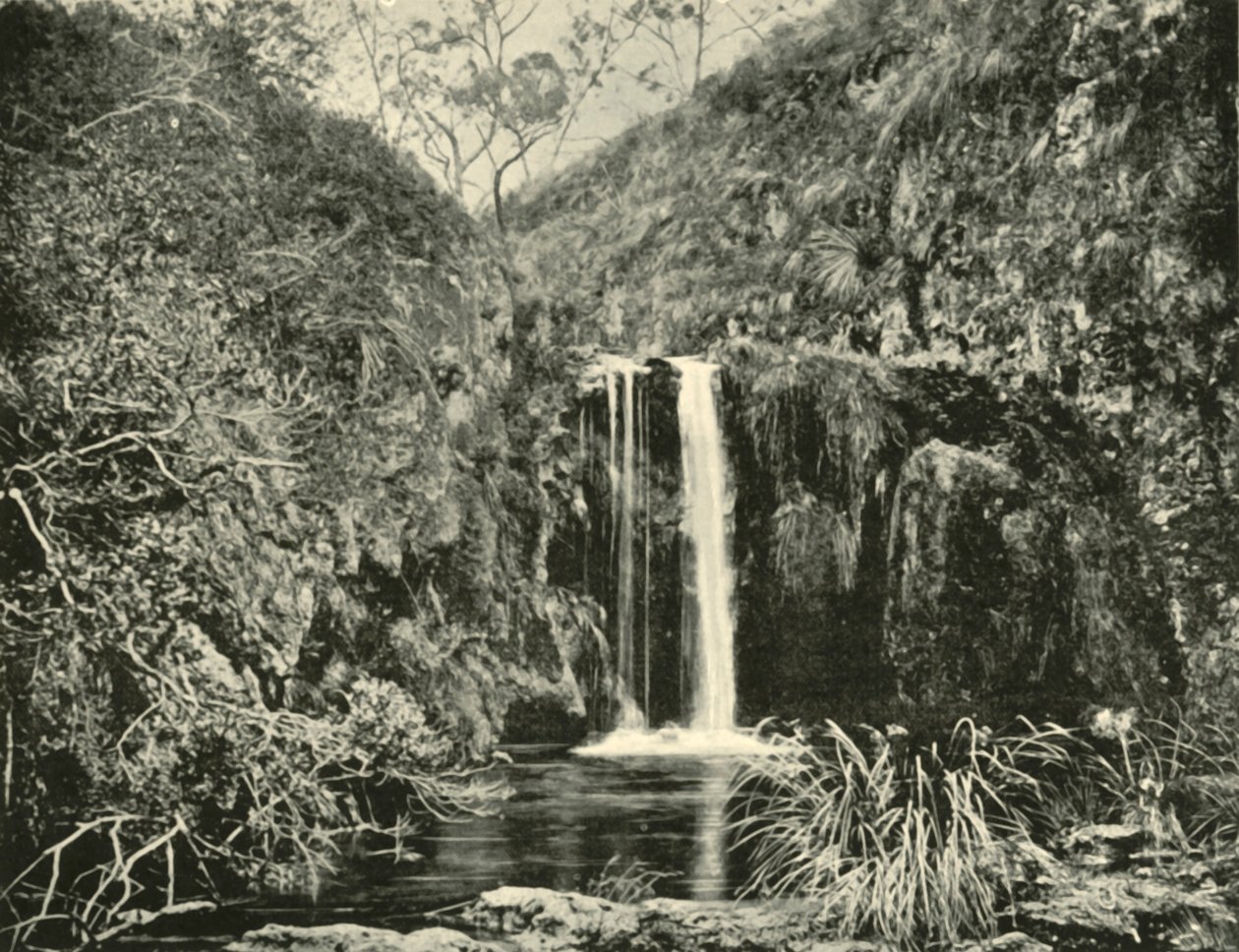Cascadas de Back Creek, río Buchan, Victoria, 1901 de Unbekannt