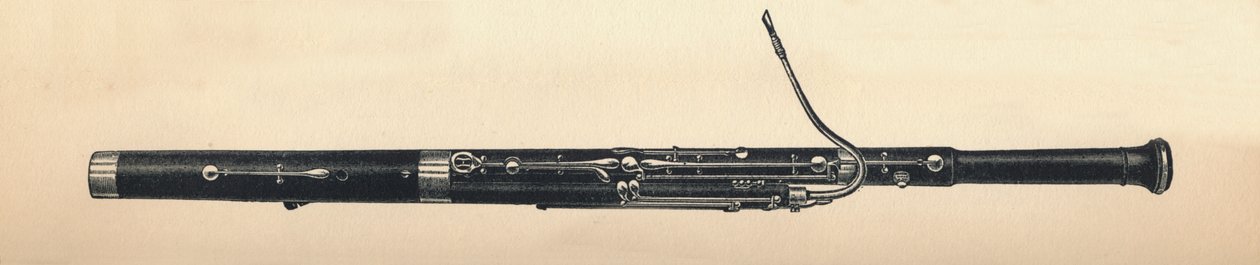Fagot, 1895 de Unbekannt