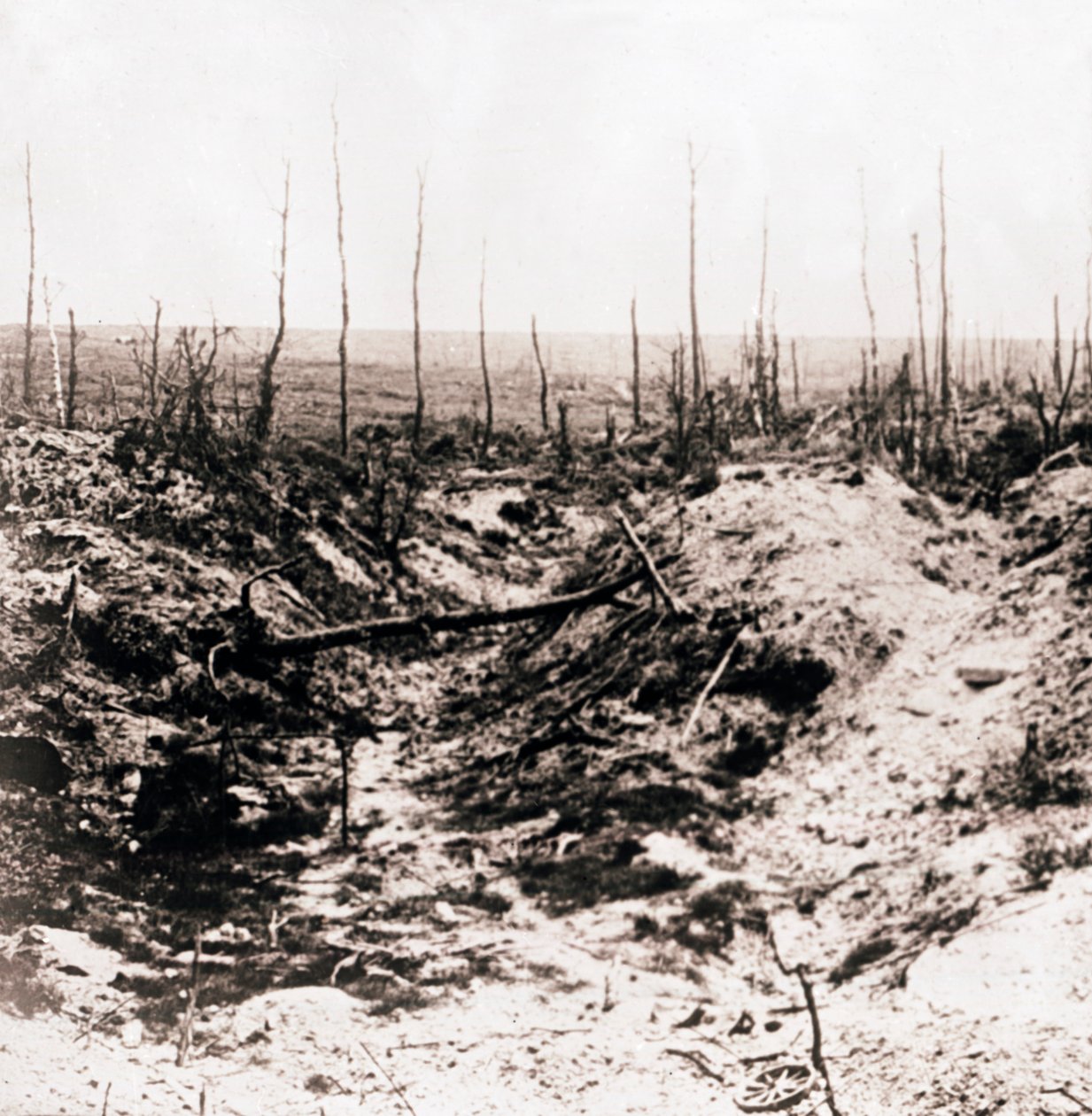 Campo de batalla, c. 1914-c. 1918 de Unbekannt