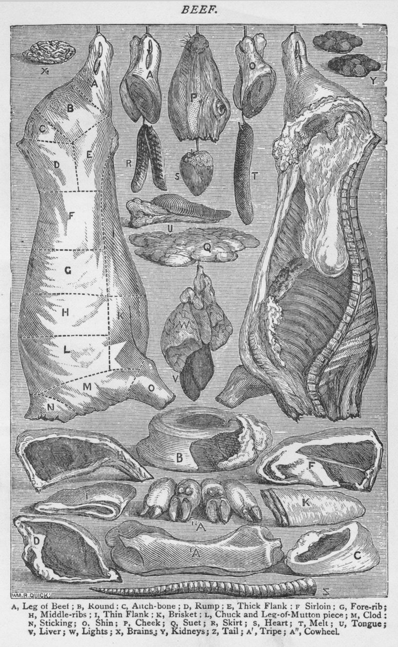 Carne de res, 1907 de Unbekannt