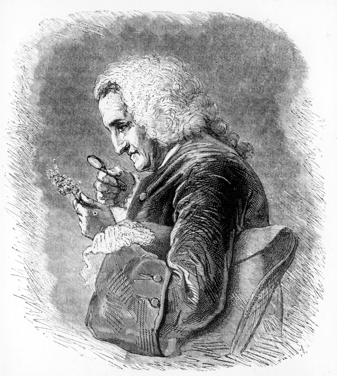 Bernard de Jussieu, botánico francés del siglo XVIII, 1880 de Unbekannt