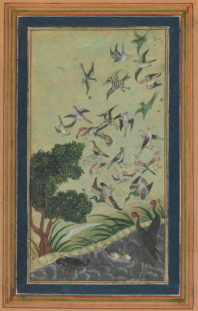 Aves en Baran, posiblemente del Babur-nama, finales del siglo XVI de Unbekannt