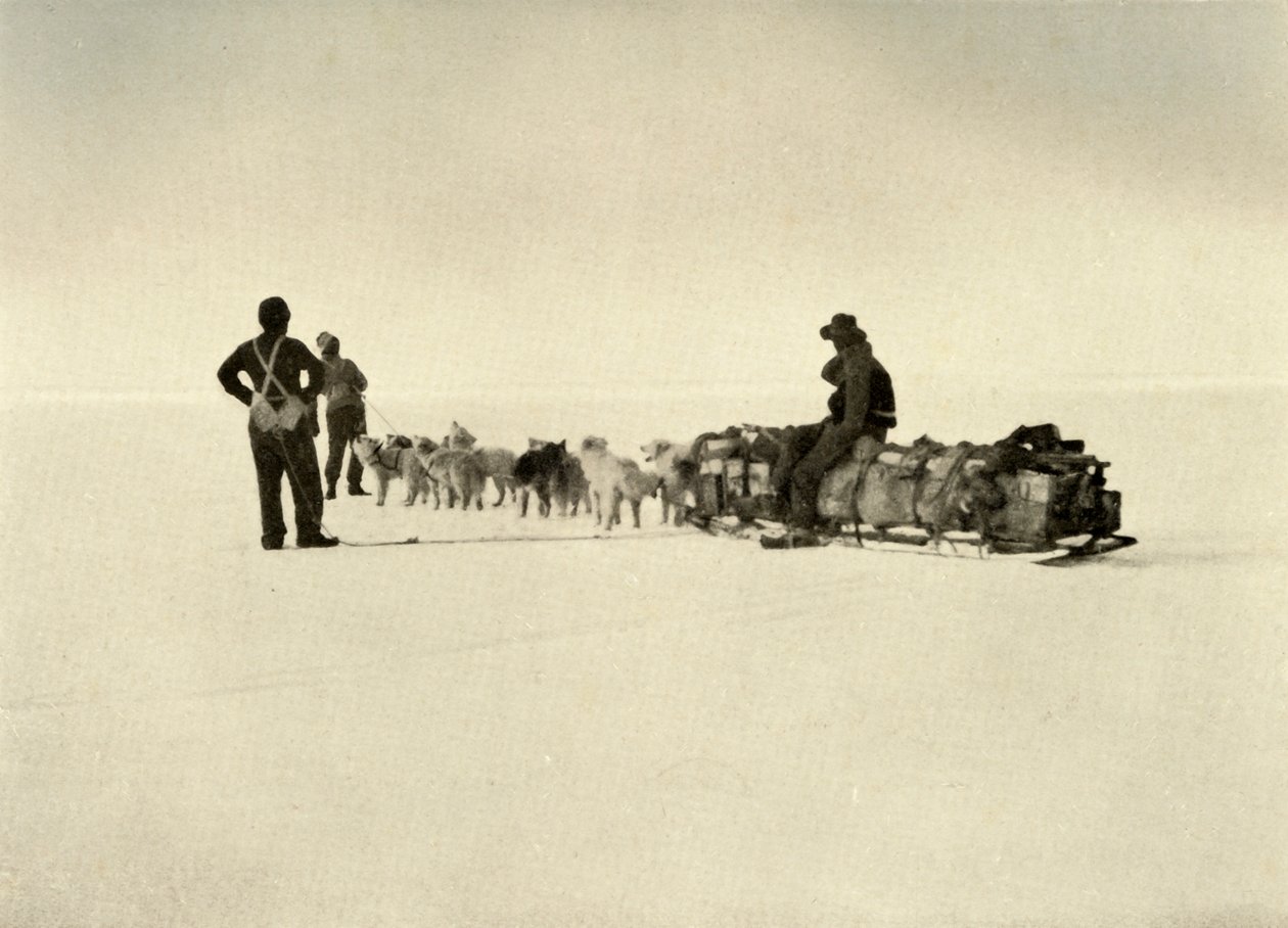 Fiesta del depósito de Bluff en la barrera, c1908, 1909 de Unbekannt