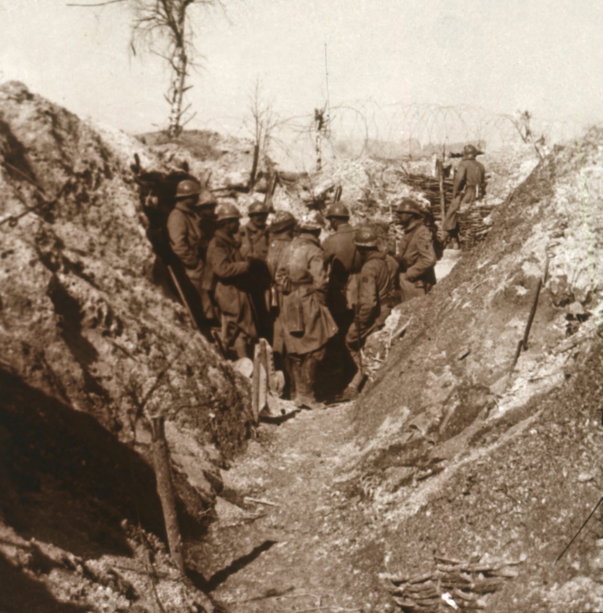 Bois de la Grille antes del ataque, norte de Francia, c1914-c1918 de Unbekannt