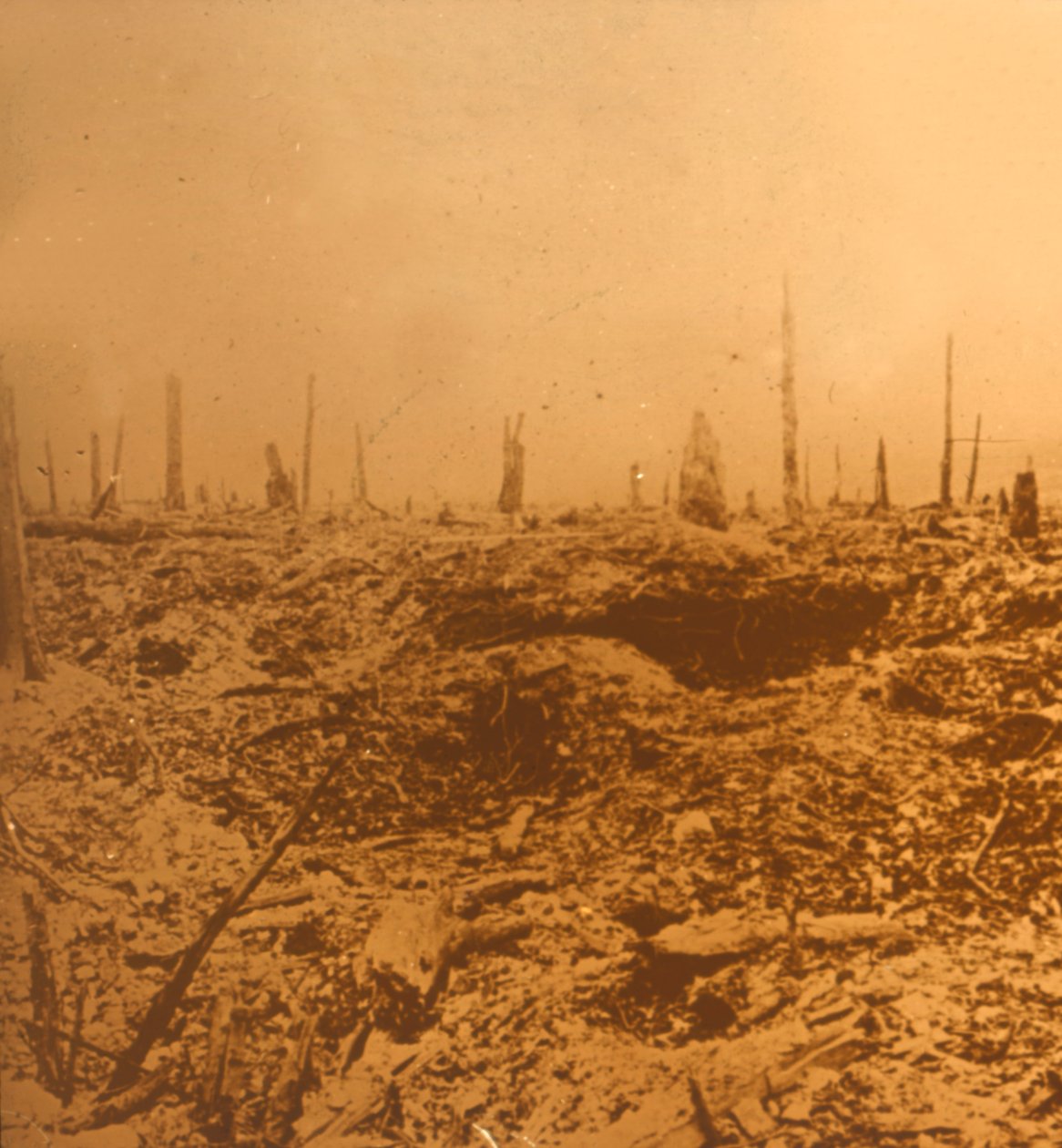 Bois du Chapitre, Vaux, norte de Francia, c1914-c1918 de Unbekannt