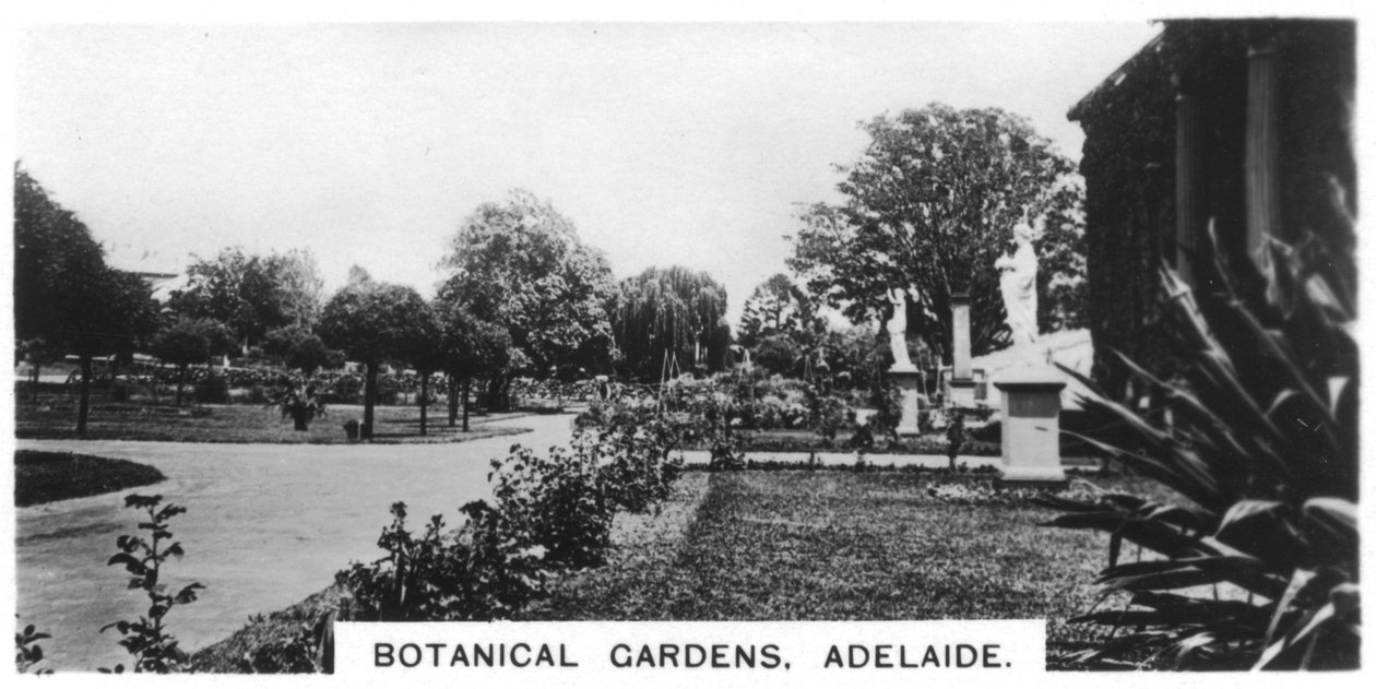Jardines Botánicos, Adelaida, Australia, 1928 de Unbekannt