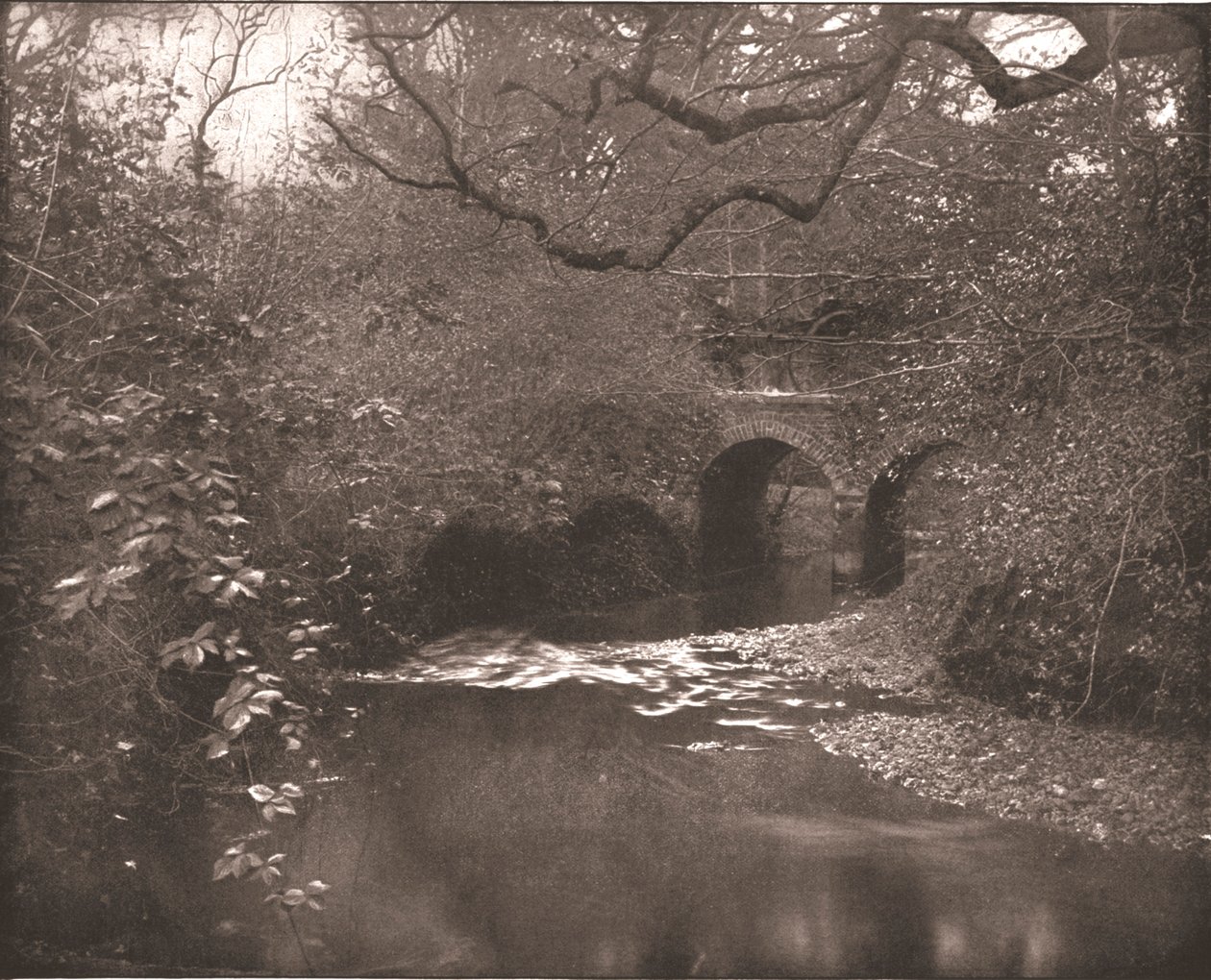 Arroyo y puente en el Nuevo Bosque, Hampshire, 1894 de Unbekannt
