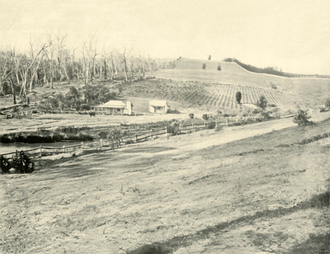 Casa del trabajador del monte, Gippsland, Victoria, 1901 de Unbekannt