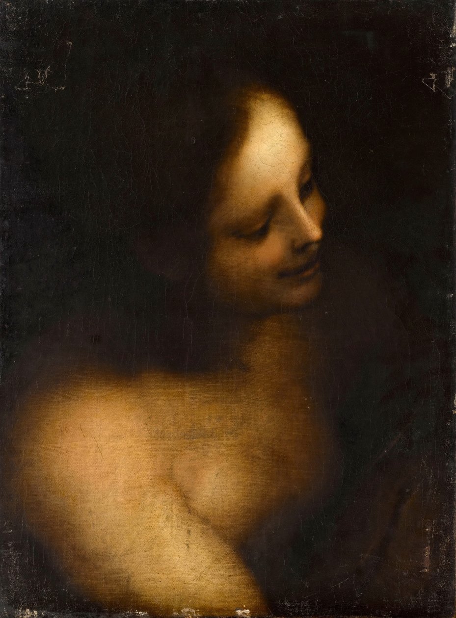 Desnudo femenino de busto de Unbekannt