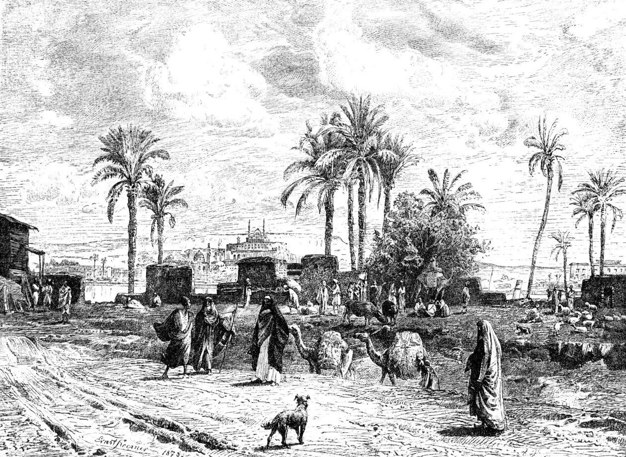 El Cairo visto desde la orilla izquierda del Nilo, 1881 de Unbekannt