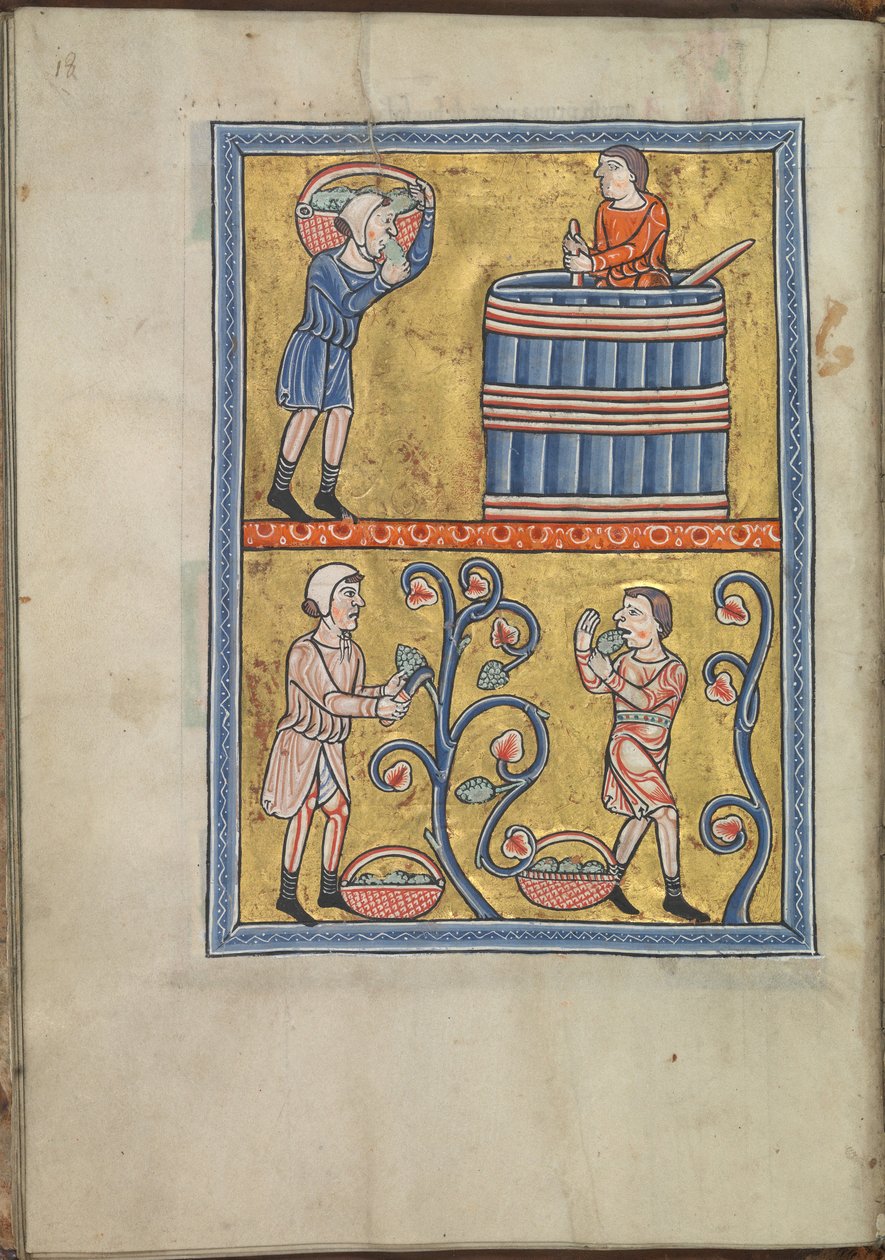 Calendario, septiembre, hombres recogiendo y pisando uvas - Salterio de Leonor de Aquitania (ca. 1185) - KB 76 F 13, folio 009v de Unbekannt