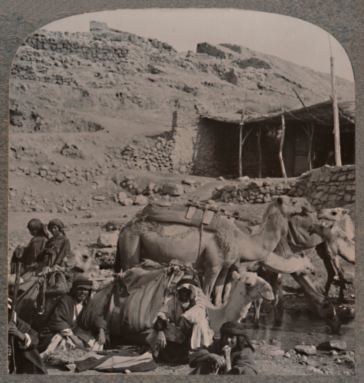 Caravana de camellos de Jerash, bebiendo en la Fuente de Elías, c. 1900 de Unbekannt