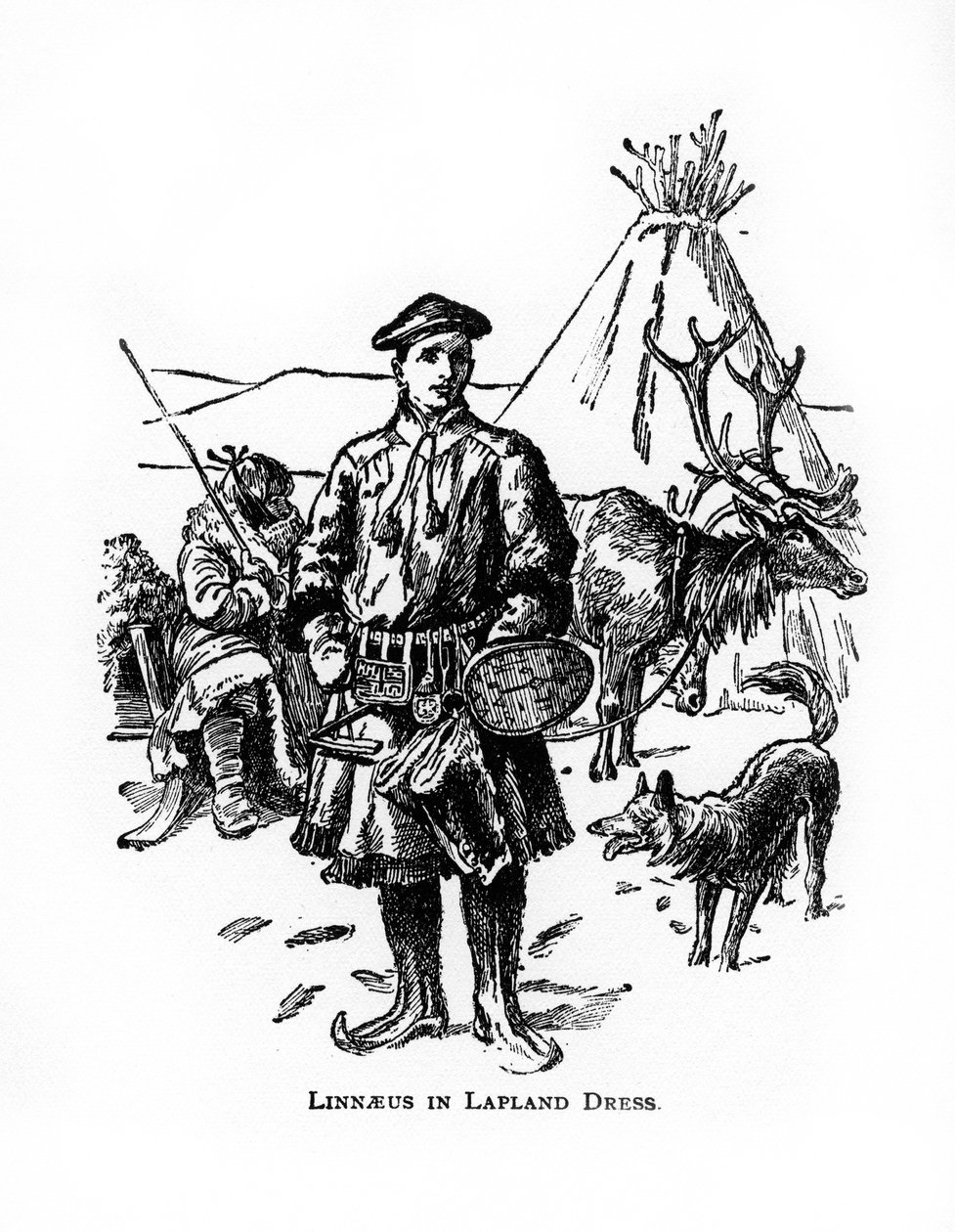 Carolus Linnaeus, botánico, médico y zoólogo sueco del siglo XVIII, siglo XX de Unbekannt